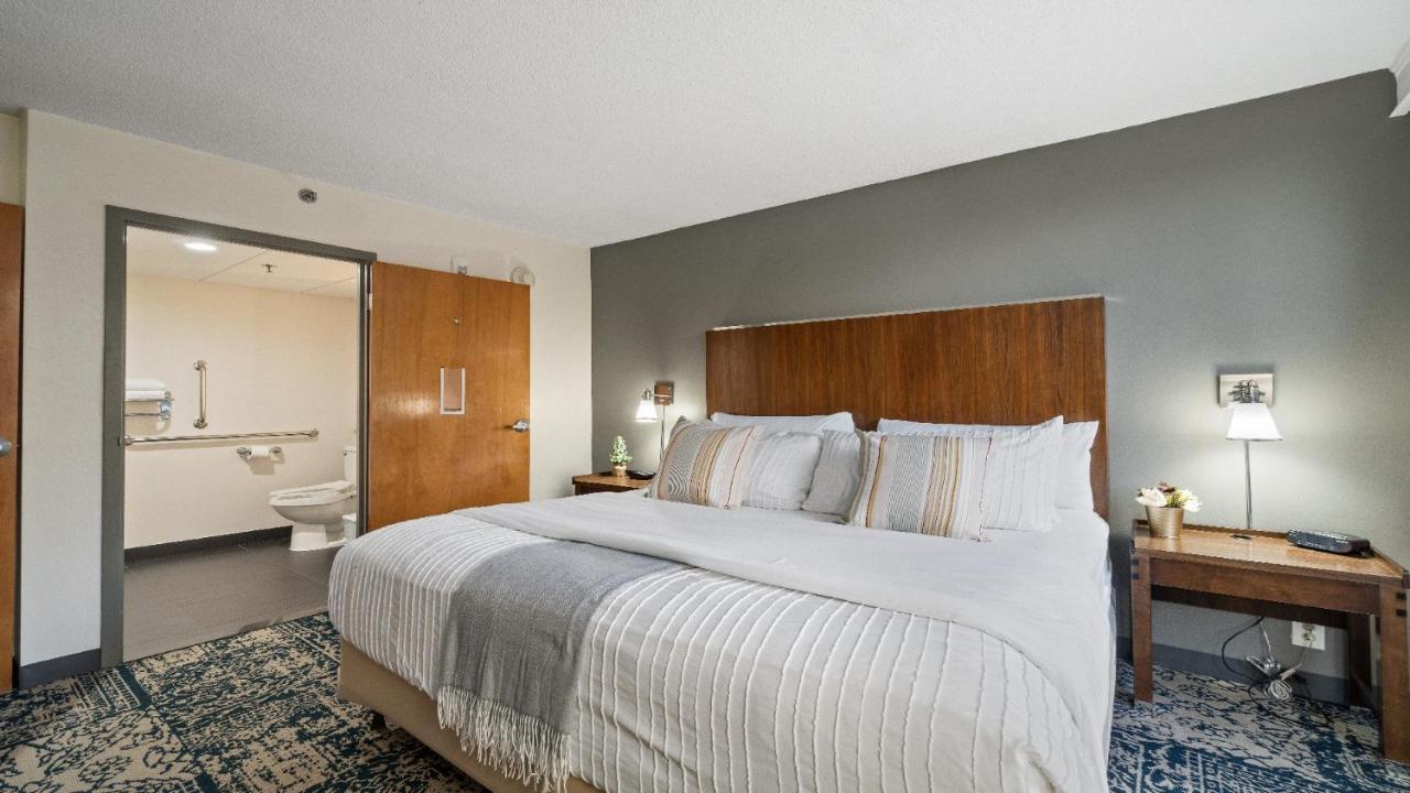 Deluxe King Suite