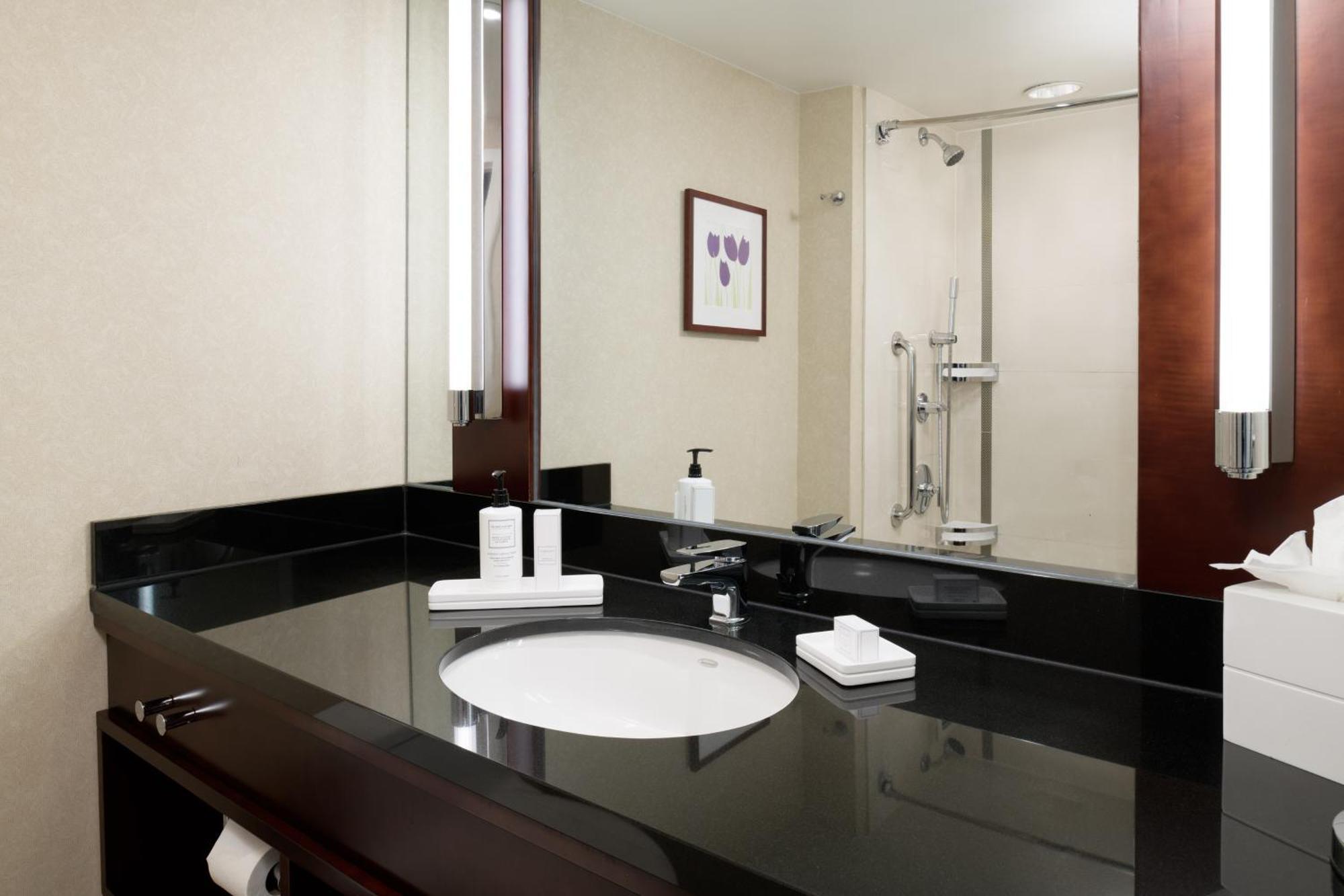 Deluxe King Room City View