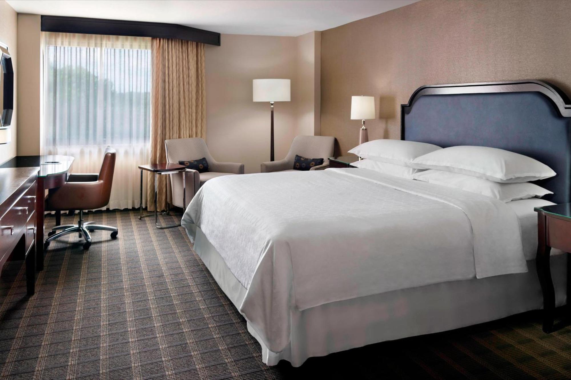 Deluxe Guest room 1 King