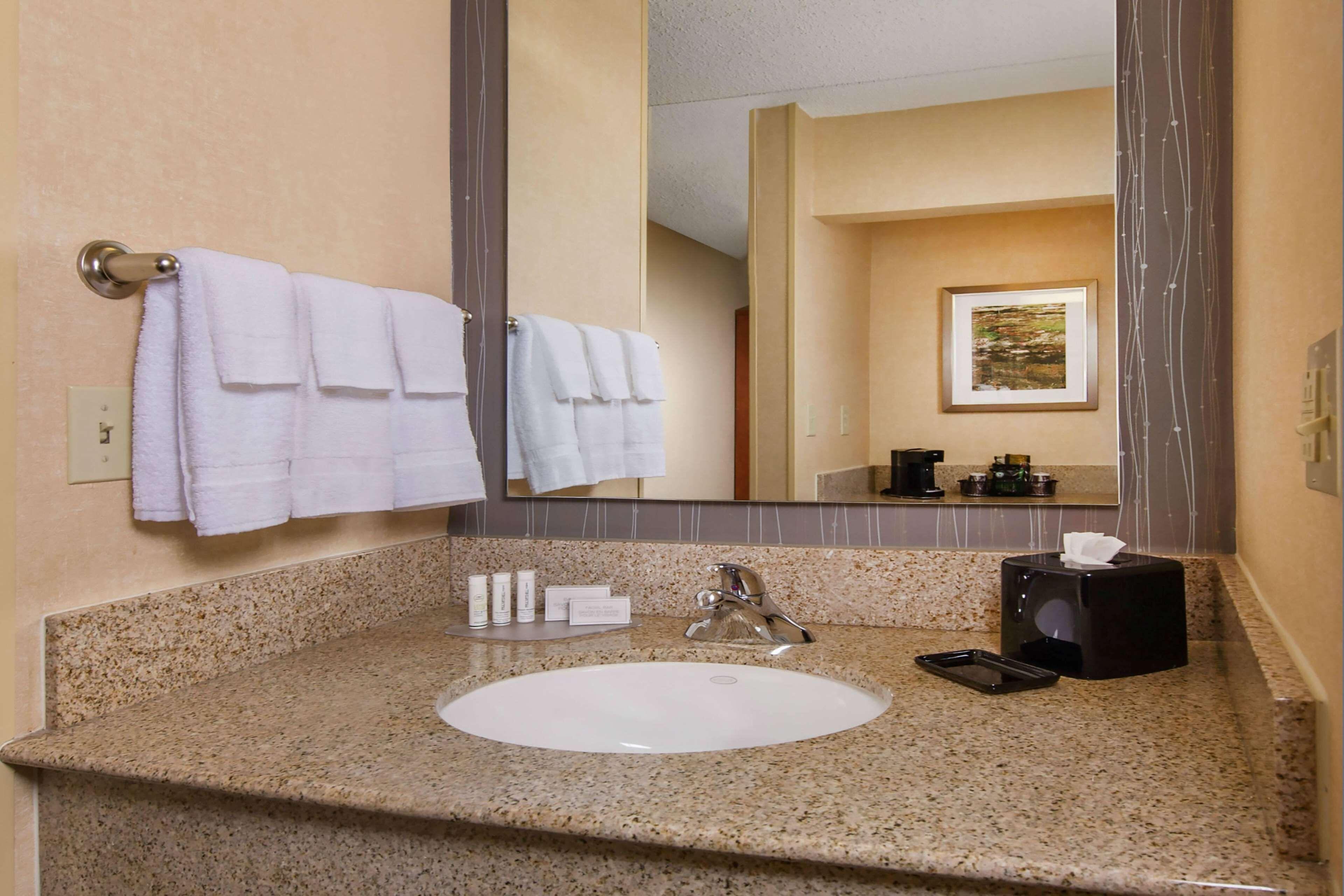 Guestroom King Roll Shower Mobility or Hearing Accessible