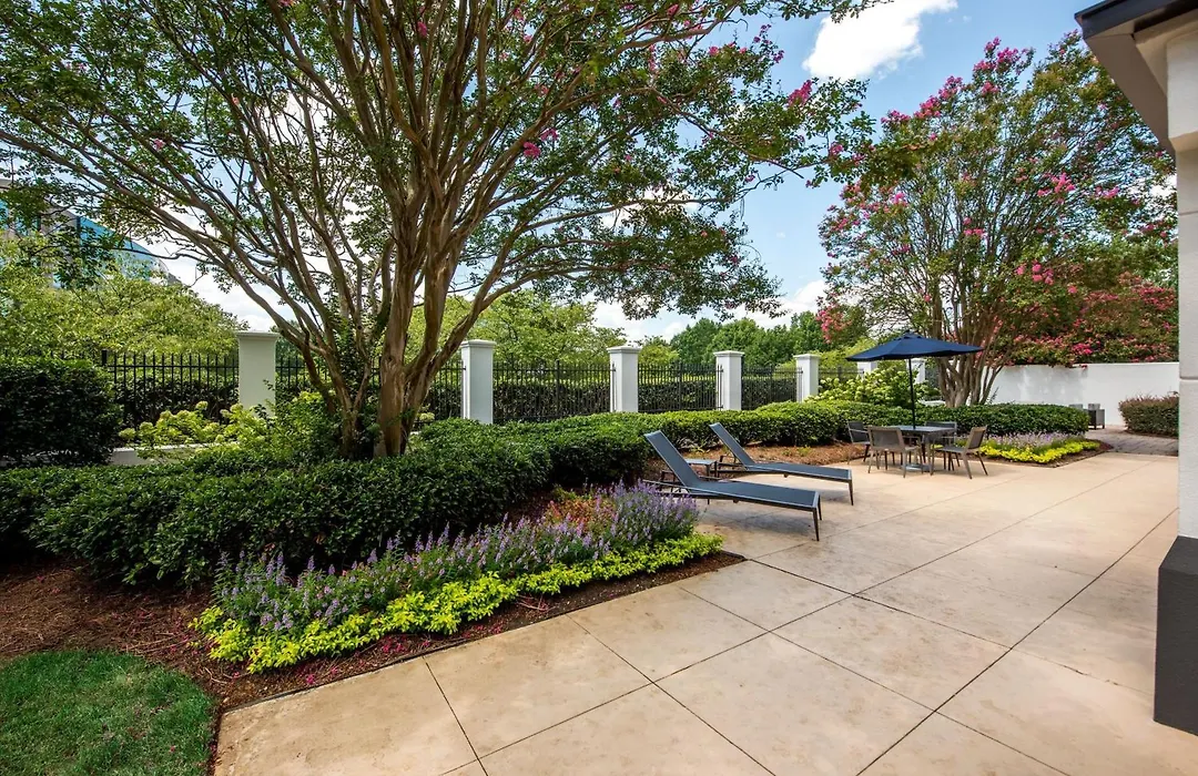 Courtyard By Marriott Charlotte Ballantyne-1