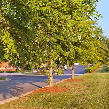 Sonesta Simply Suites Charlotte University-2