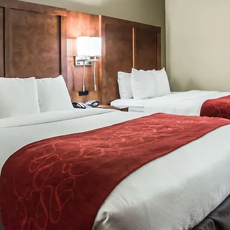 Comfort Suites University - Research Park-3