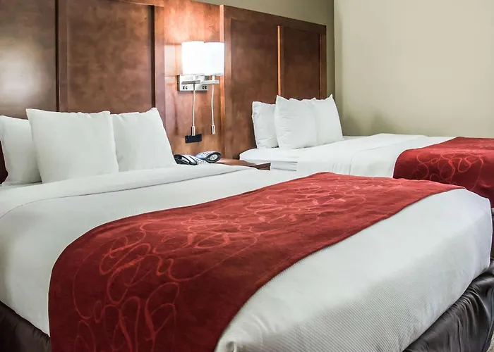 Comfort Suites University - Research Park Charlotte